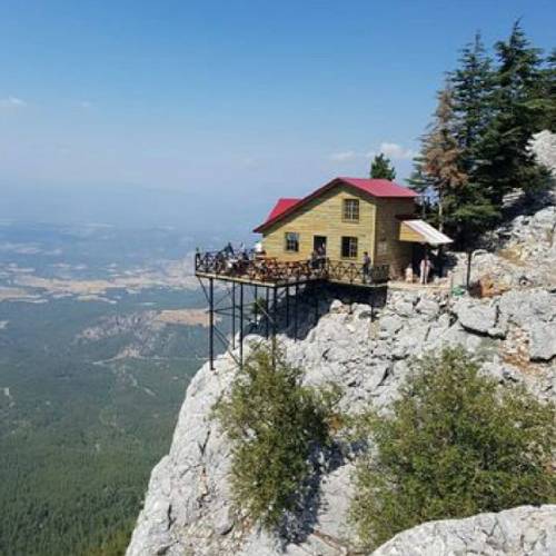 تازگیا شک میکنی دم به دقه راه به راه هرجا میرم باید بترسم حتی از سایه ها